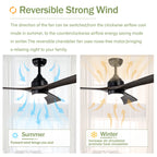 Metal Ceiling Fan - HomeVista Furniture's Llc