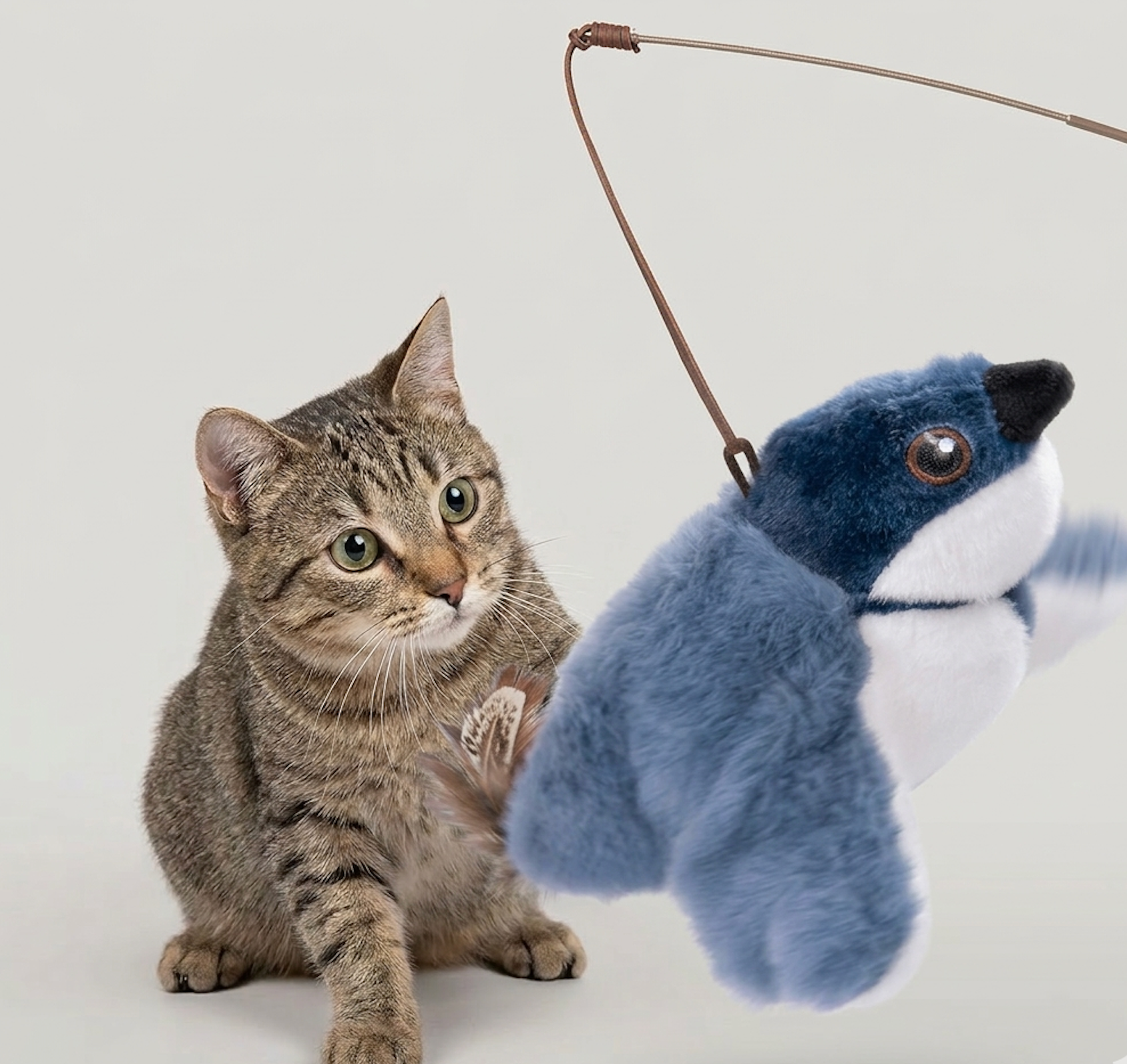 Flapping Bird Cat  Toy - HomeVista Furniture's Llc